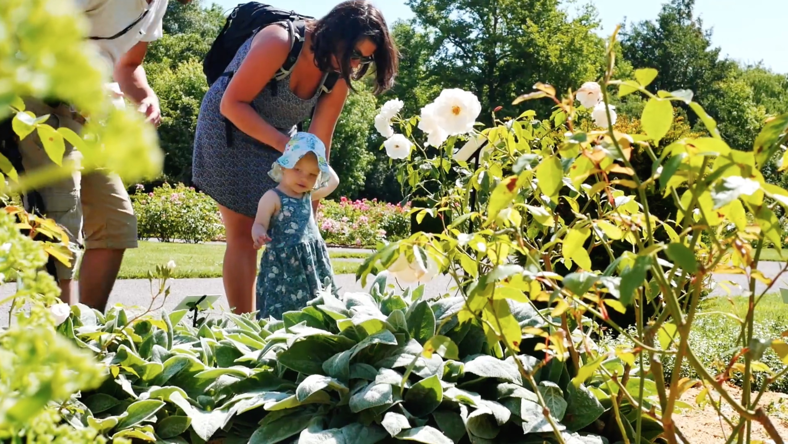 Les Jardins de Valloires