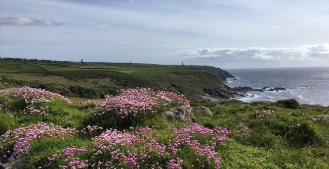 Côte d’étain